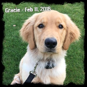 Gracie