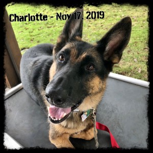 Charlotte