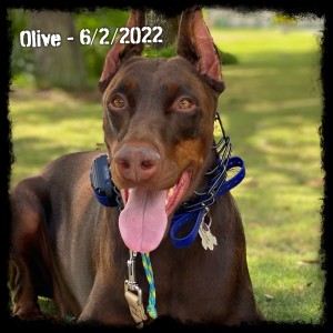 Olive