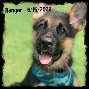 Ranger 