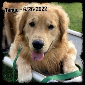 Tango