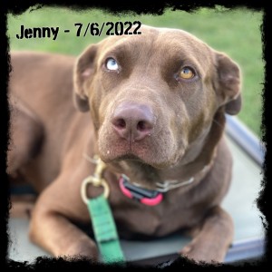 Jenny