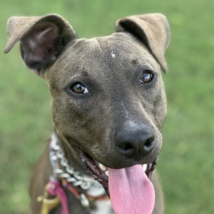 Kali