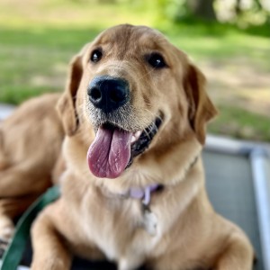 Winnie
