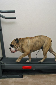 Treadmill