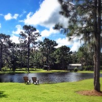 Pond view