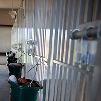 Training equipment buckets